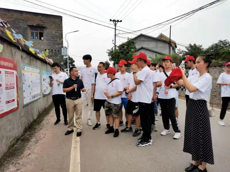 以专业之力护社区绿意——我的寒假环保调研实践之旅