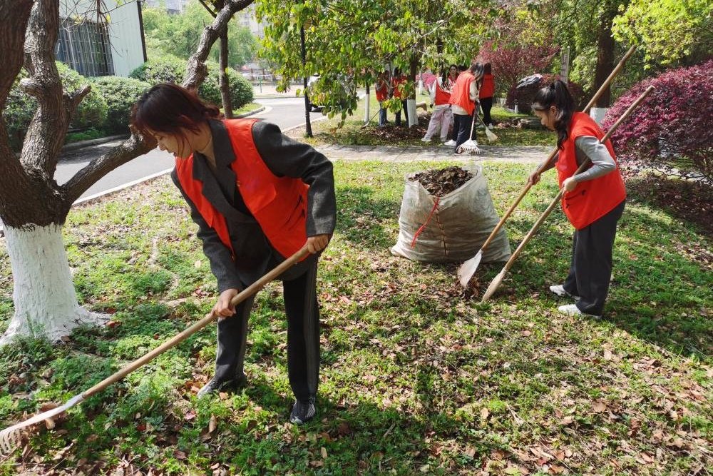 旅院韶华，服务筑梦——浙江旅游职业学院学子的多彩校园生活