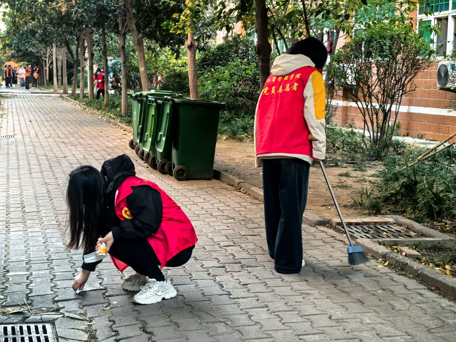 青春践初心 志愿暖春日——长沙民政职业技术学院2026年春季志愿服务实践活动纪实